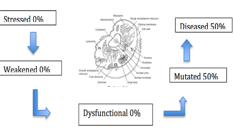 अस्वच्छता जनित बीमारियाँ एवं उनसे बचाव / Dysfunctional diseases and prevention