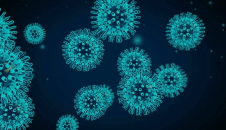 कोरोना वायरस (COVID-19) – महत्वपूर्ण तथ्य / Corona Virus (COVID-19) – Important Facts